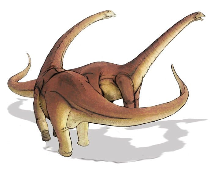 ألاموصورس