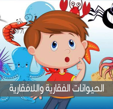 معلومات عن الحيوانات الفقارية واللافقارية
