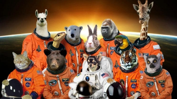 حيوانات في الفضاء