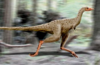 اكتشاف ديناصور جديد: Linhenykus Monodactylus | عرض الاطفال