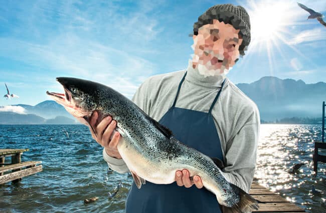 سمك السلمون الأطلسي - الوصف والموئل والصورة والنظام الغذائي وحقائق مثيرة للاهتمام
