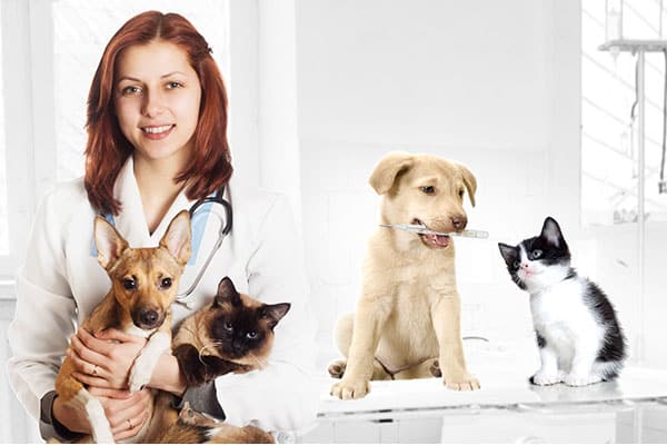 11 فائدة لتربية الحيوانات الأليفة أبرزها الوقاية من الربو وتقوية المناعة