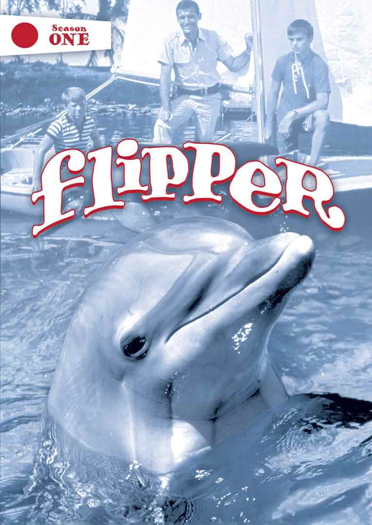 Flipper, from 1964 was a famous series about a dolphin and two children
