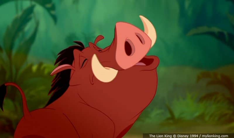 Pumbaa is a warthog