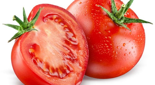 كم من الوقت يستغرق زراعة الطماطم