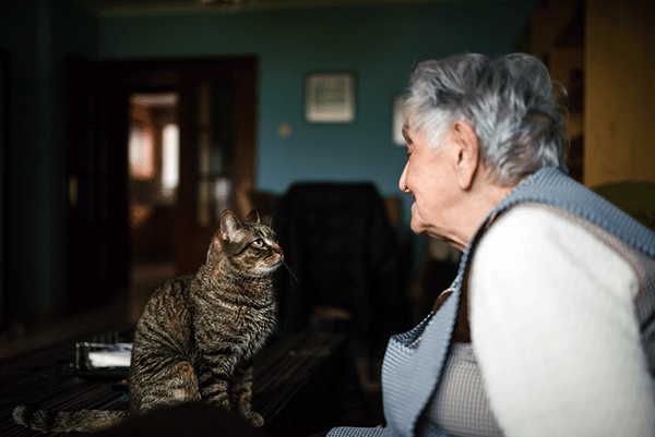امرأة مسنة مع قطتها. 