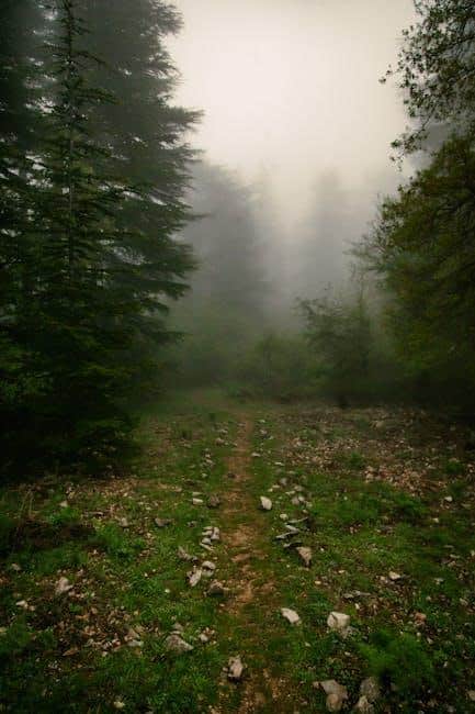 مغامرات الطائر المغامر في الغابة